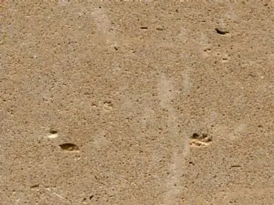 Savonnieres limestone