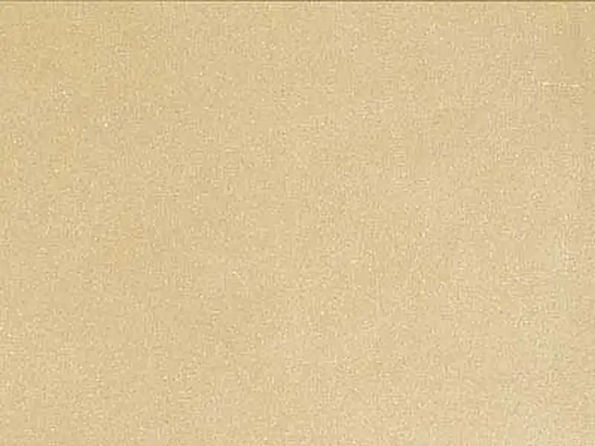 Schleerith arenisca, muestra pulida – Marmi di Carrara – beige (1)