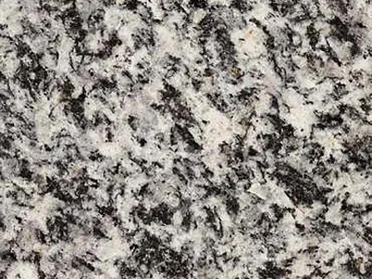 Serizzo Antigorio Chiaro granito, campione lucido – Marmi di Carrara – grigio, grigio chiaro (1)