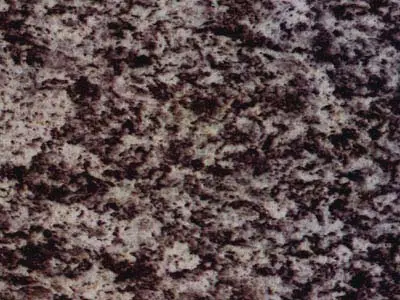 Serizzo Antigorio scuro granito, campione lucido – Marmi di Carrara – antracite, grigio (1)