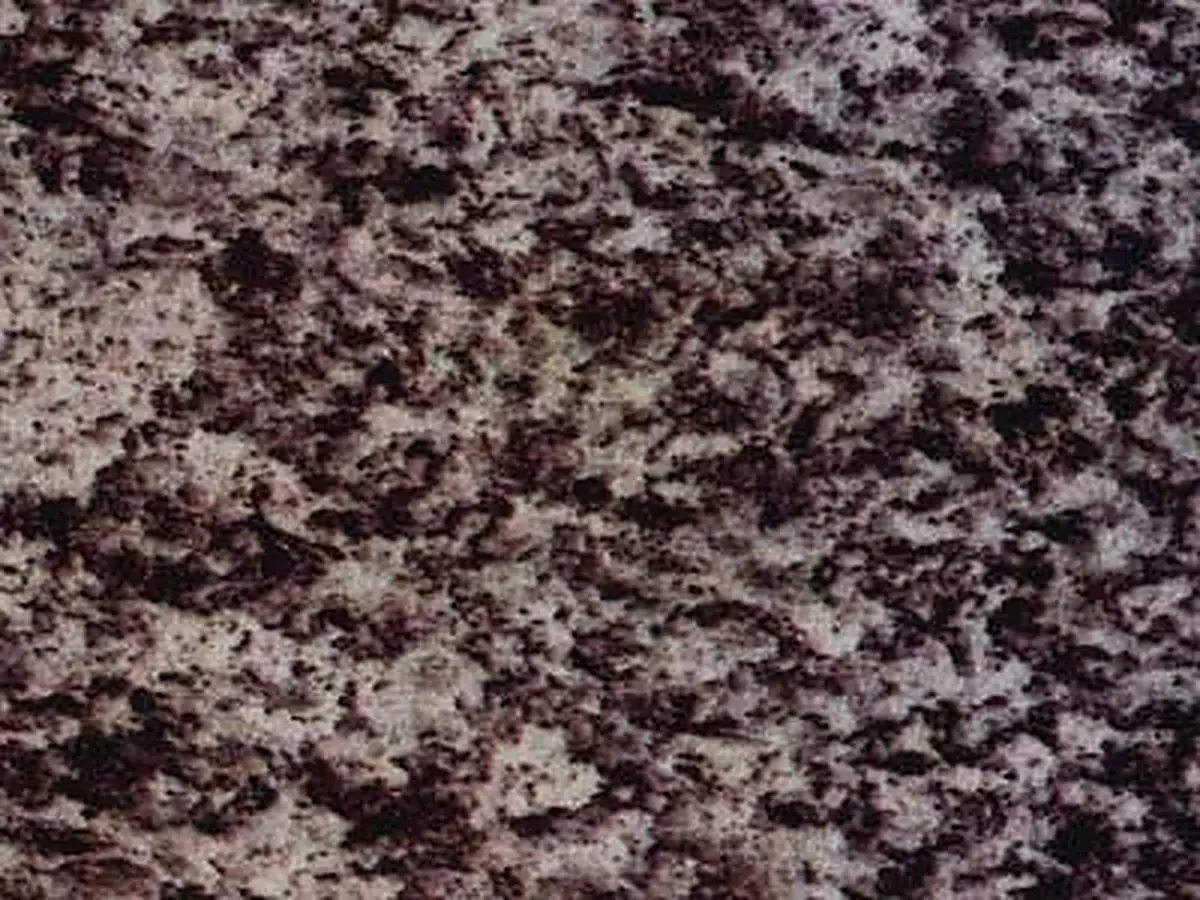 Serizzo Antigorio scuro granito, campione lucido – Marmi di Carrara – antracite, grigio (1)