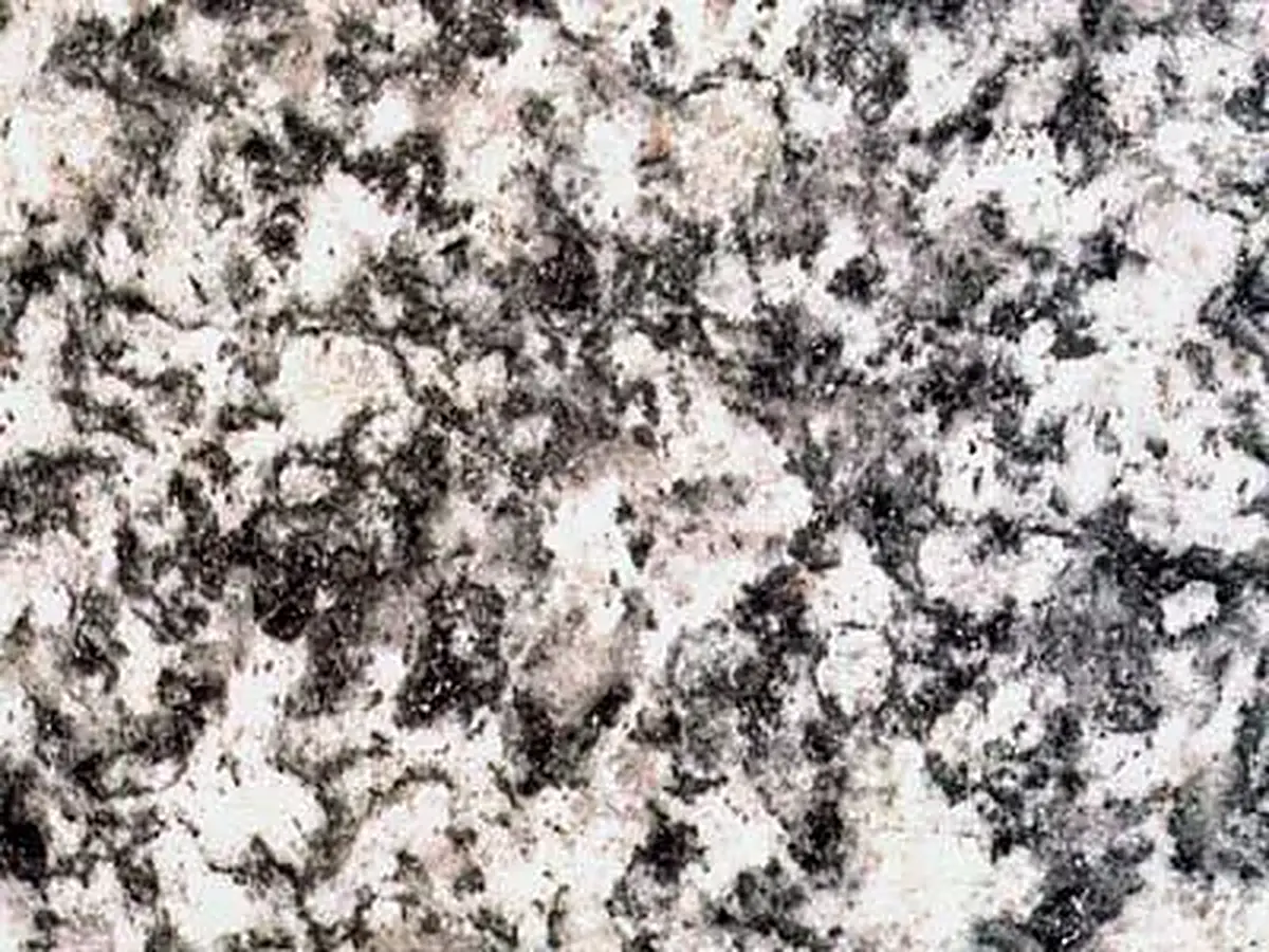 Serizzo Formazza granito, muestra pulida – Marmi di Carrara – gris, antracita (1)