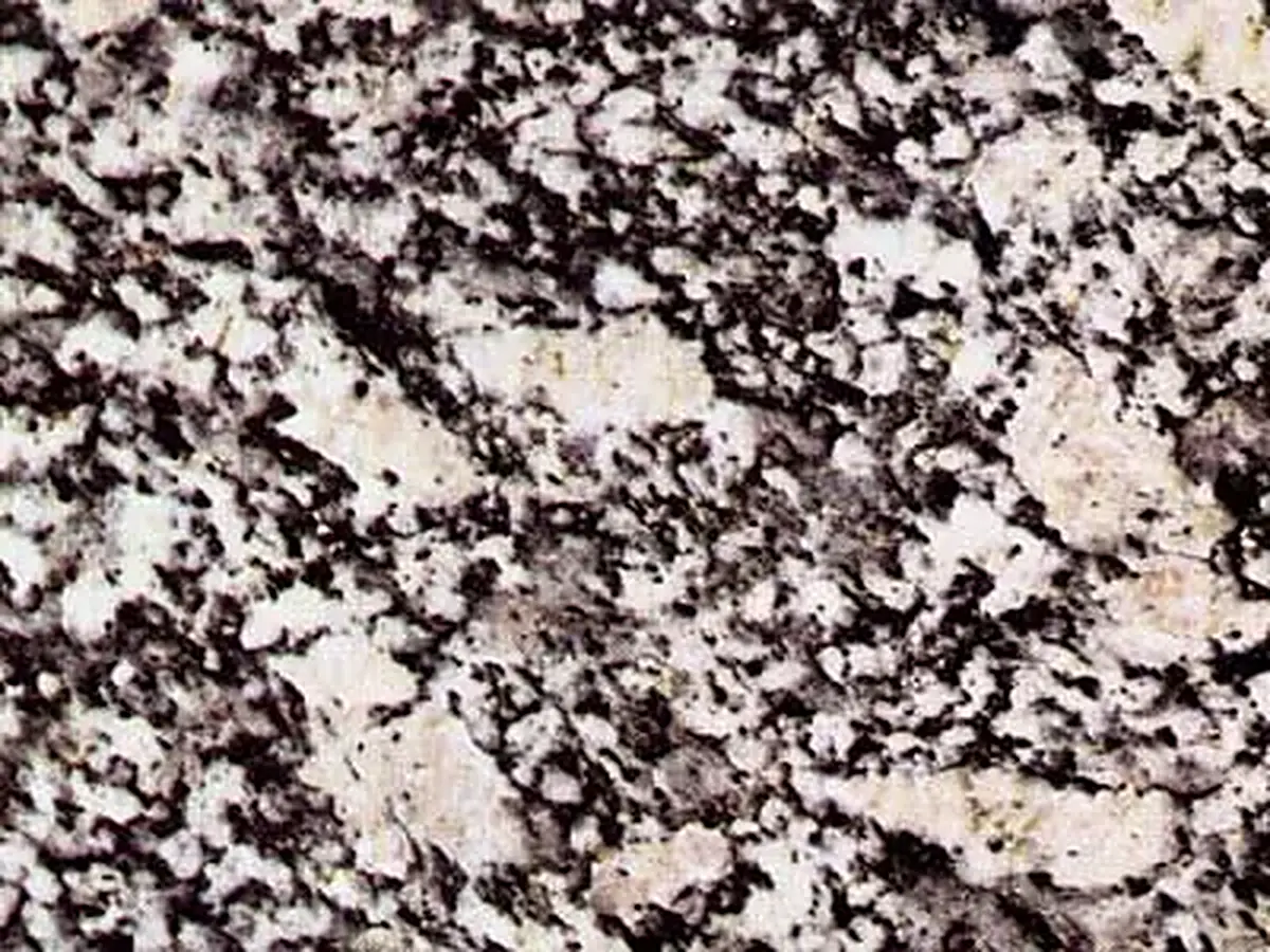 Serizzo Ghiandone granite polished sample – Marmi di Carrara – violet, charcoal (1)