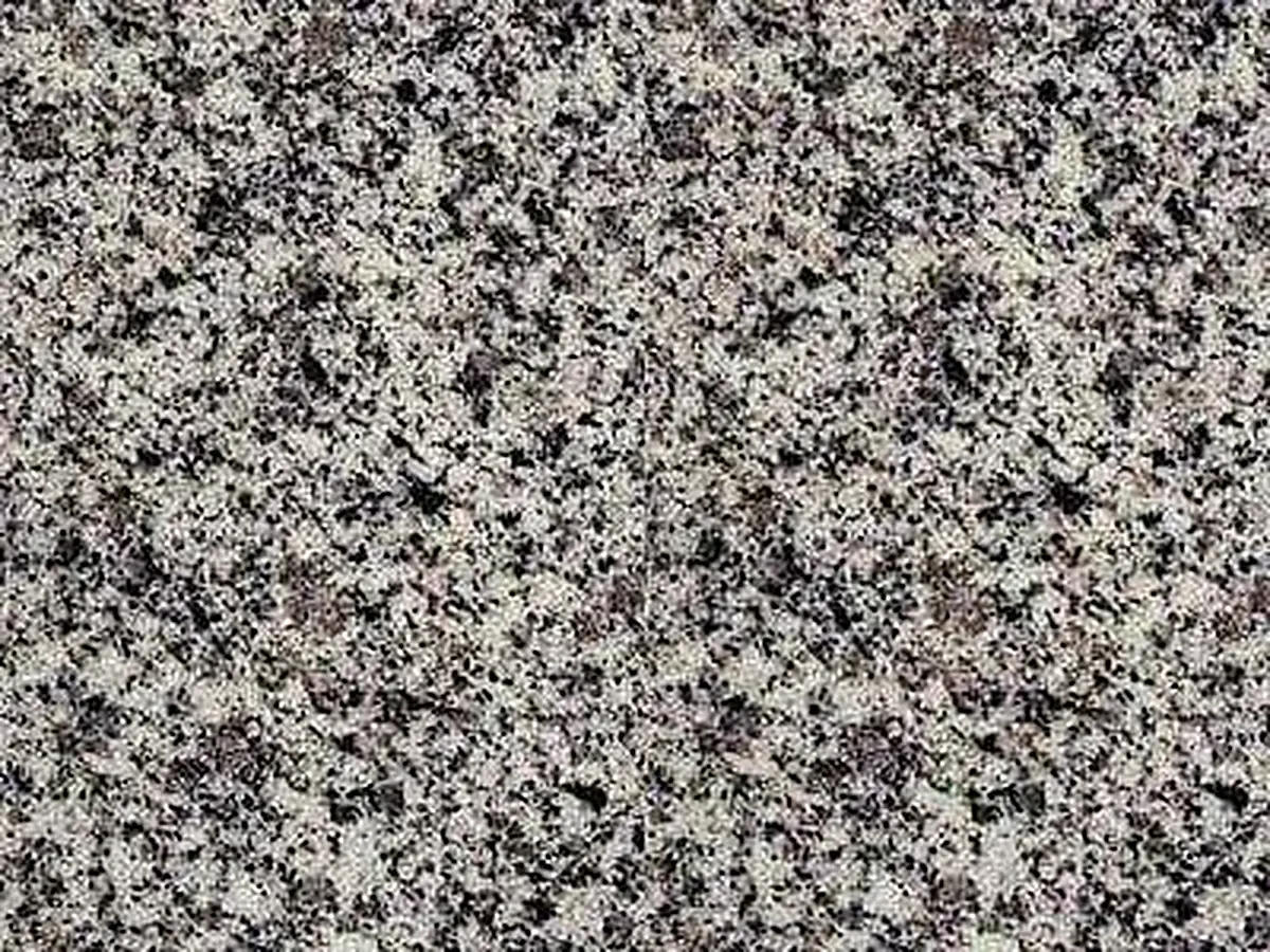 Sierra White granit, échantillon poli – Marmi di Carrara – gris, beige (1)