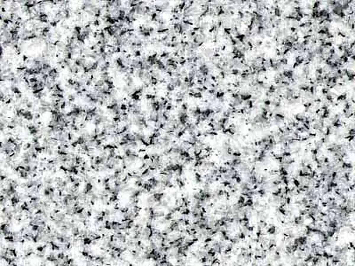 Silver Platina granite polished sample – Marmi di Carrara – light grey, grey (1)