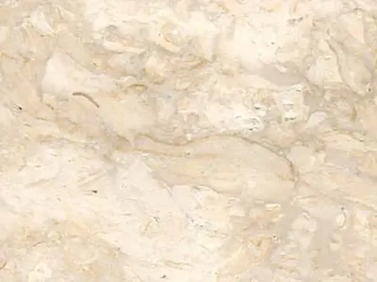 Silver Travertino travertine polished sample – Marmi di Carrara – ivory, white (1)