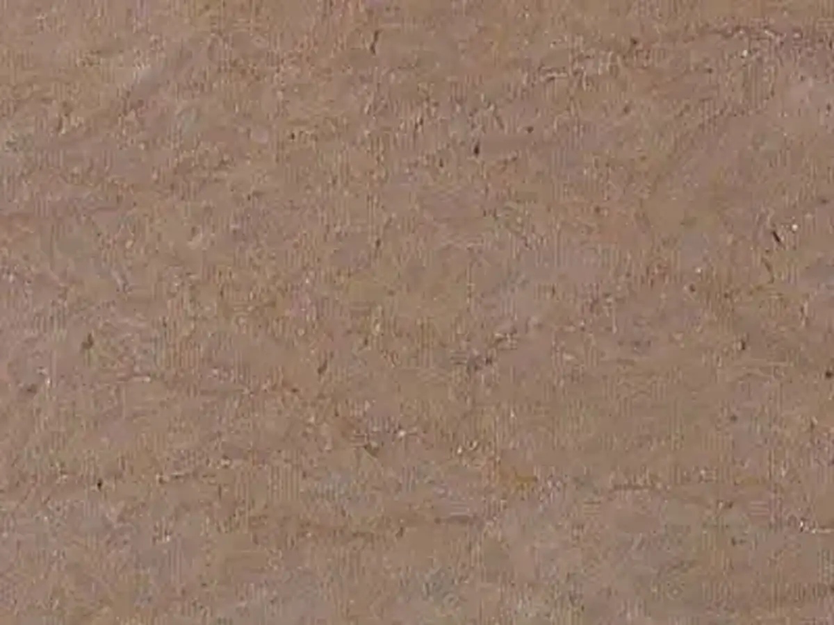 Silvya caliza, muestra pulida – Marmi di Carrara – gris (1)