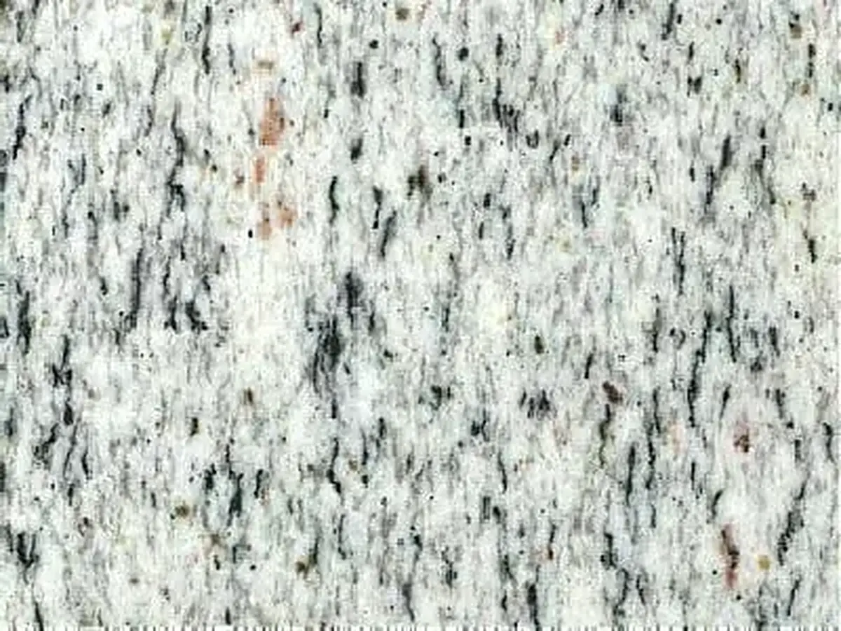 Solar White granito, muestra pulida – Marmi di Carrara – marfil, gris claro (1)