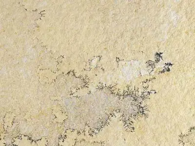 Solnhofen Stone limestone