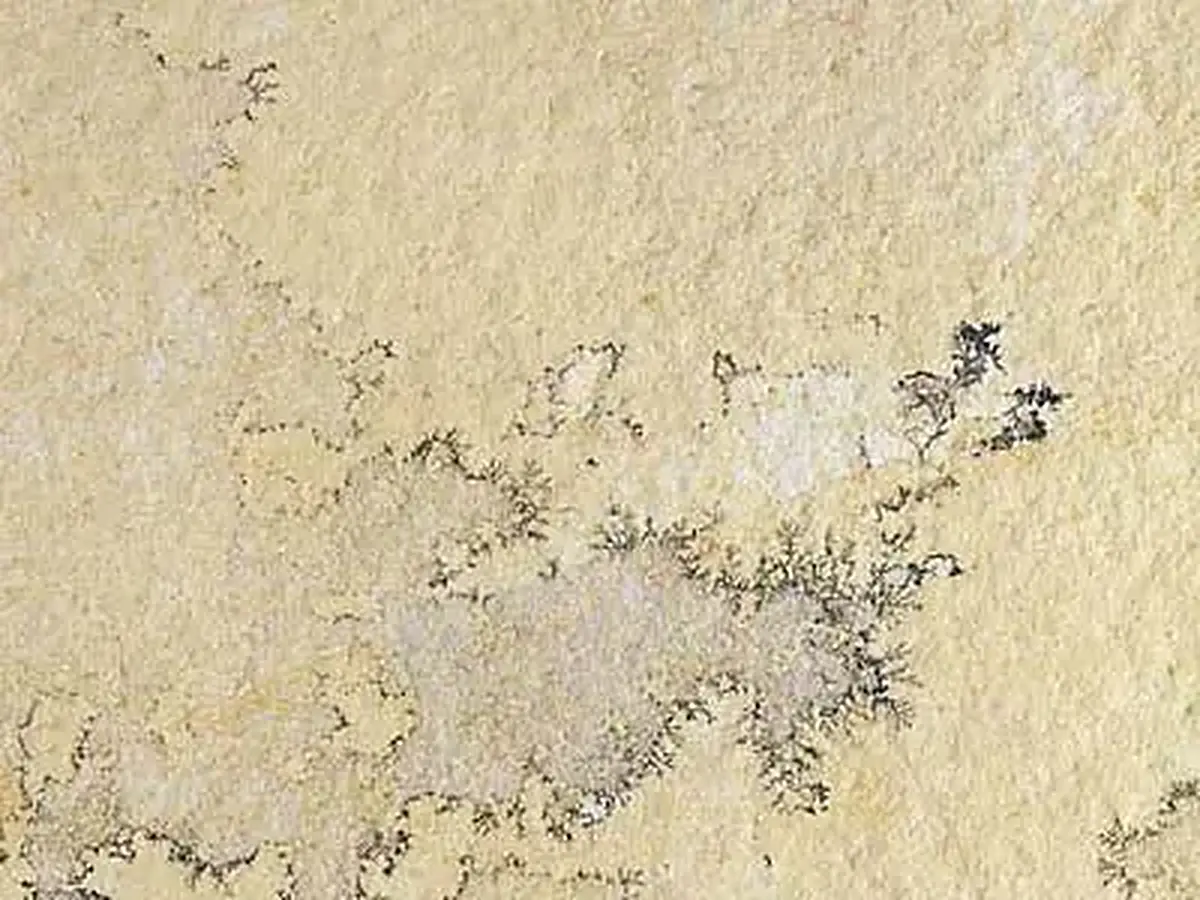 Solnhofen Stone limestone polished sample – Marmi di Carrara – beige, ivory (1)