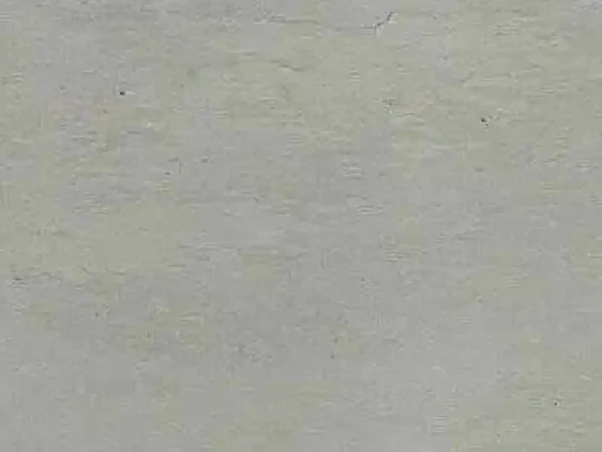 Southern White Schiefer, polierte Probe – Marmi di Carrara – beige, grau (1)