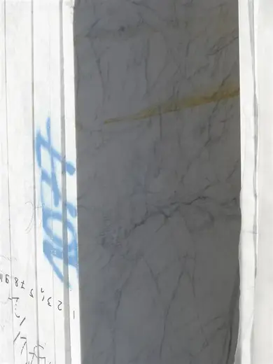 Statuarietto marmo, dettaglio di superficie – Marmi di Carrara – grigio chiaro, grigio (19)