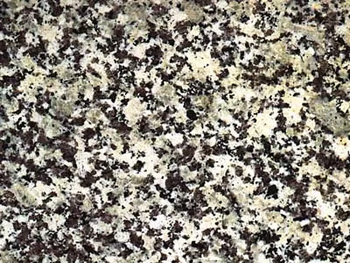 Strzegom Granit, polierte Probe – Marmi di Carrara – grau, anthrazit (1)