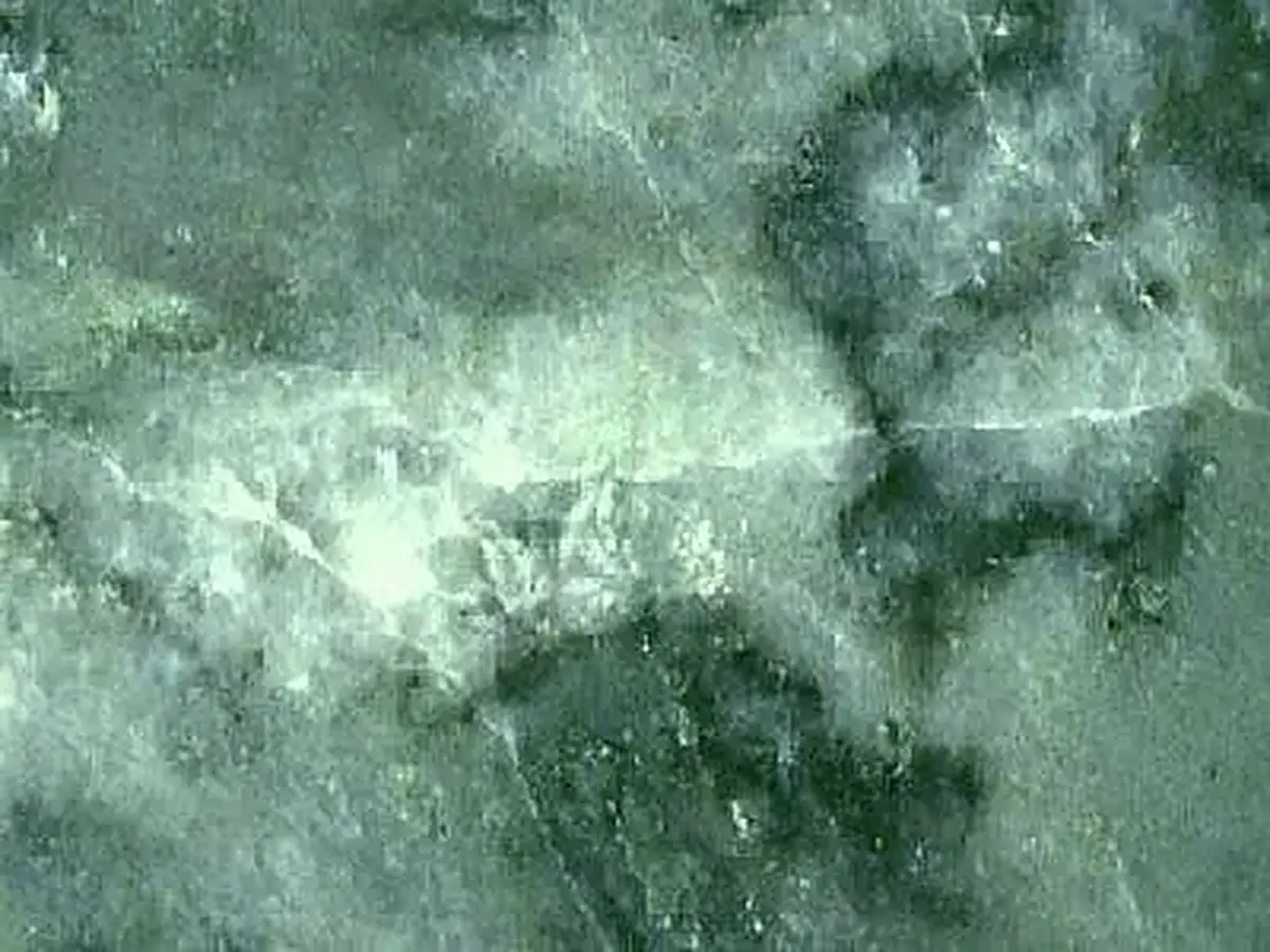 Styra Green marble polished sample – Marmi di Carrara – green, light grey (1)