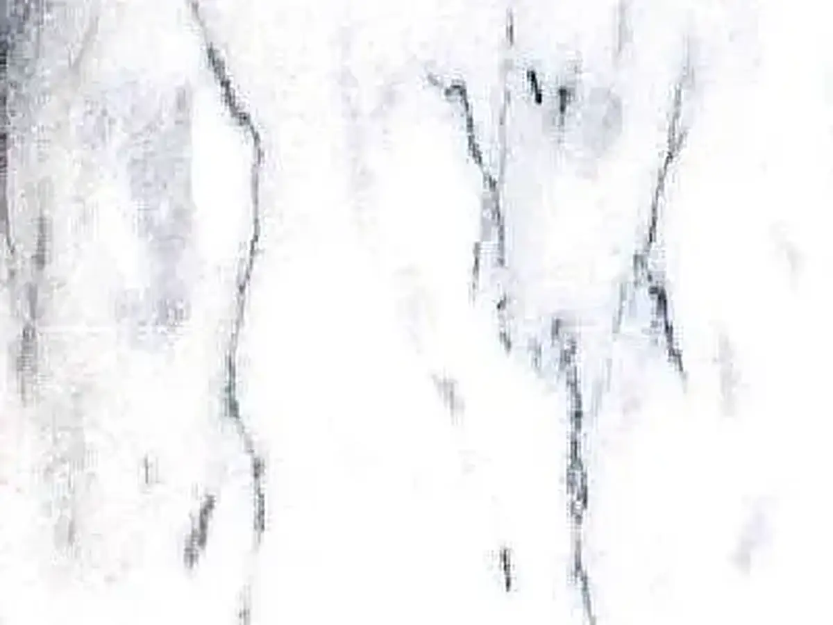 Sunny Grey marmo, campione lucido – Marmi di Carrara – bianco, avorio (1)