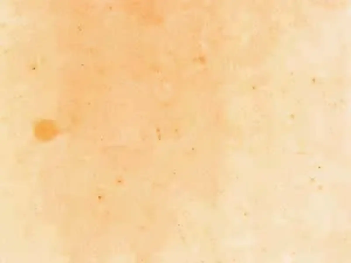 Szczytna Sandstein, polierte Probe – Marmi di Carrara – beige, elfenbein (1)