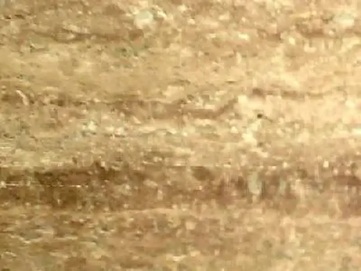 T 110 travertino, muestra pulida – Marmi di Carrara – beige, dorado (1)