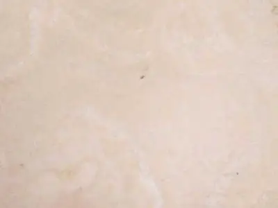T 114 travertine