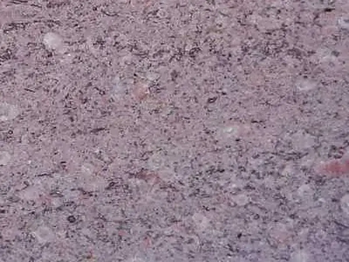 Taurus Grey limestone polished sample – Marmi di Carrara – grey (1)