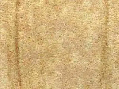 Teak grès, échantillon poli – Marmi di Carrara – beige, doré (1)