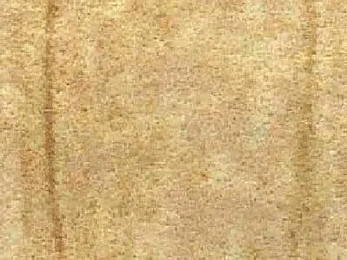 Teak sandstone polished sample – Marmi di Carrara – beige, gold (1)
