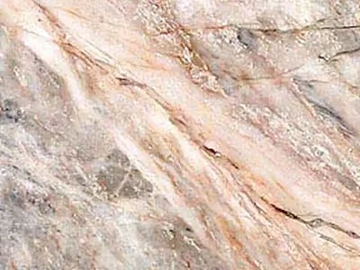 Tepeaca Rose Kalkstein, polierte Probe – Marmi di Carrara – beige, elfenbein (1)