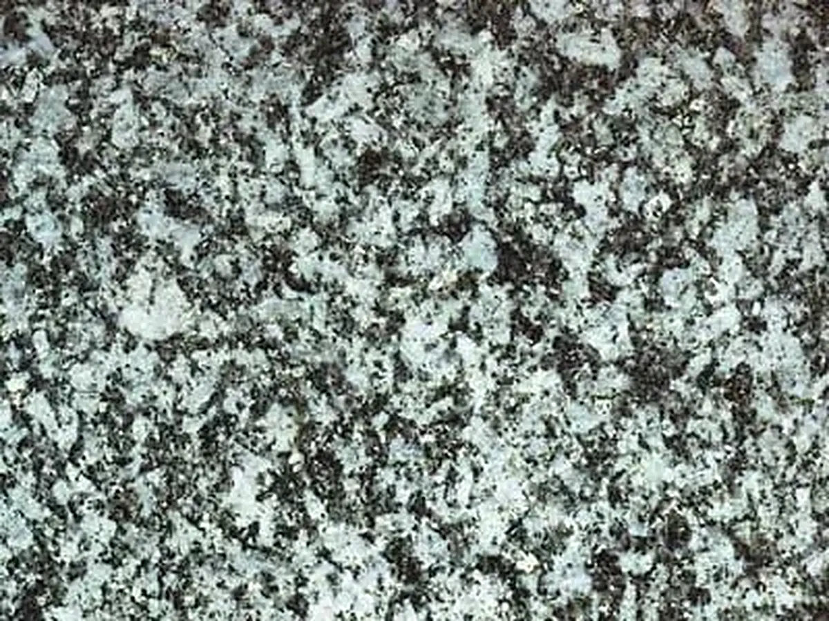 Thanstein granito, muestra pulida – Marmi di Carrara – gris, gris claro (1)
