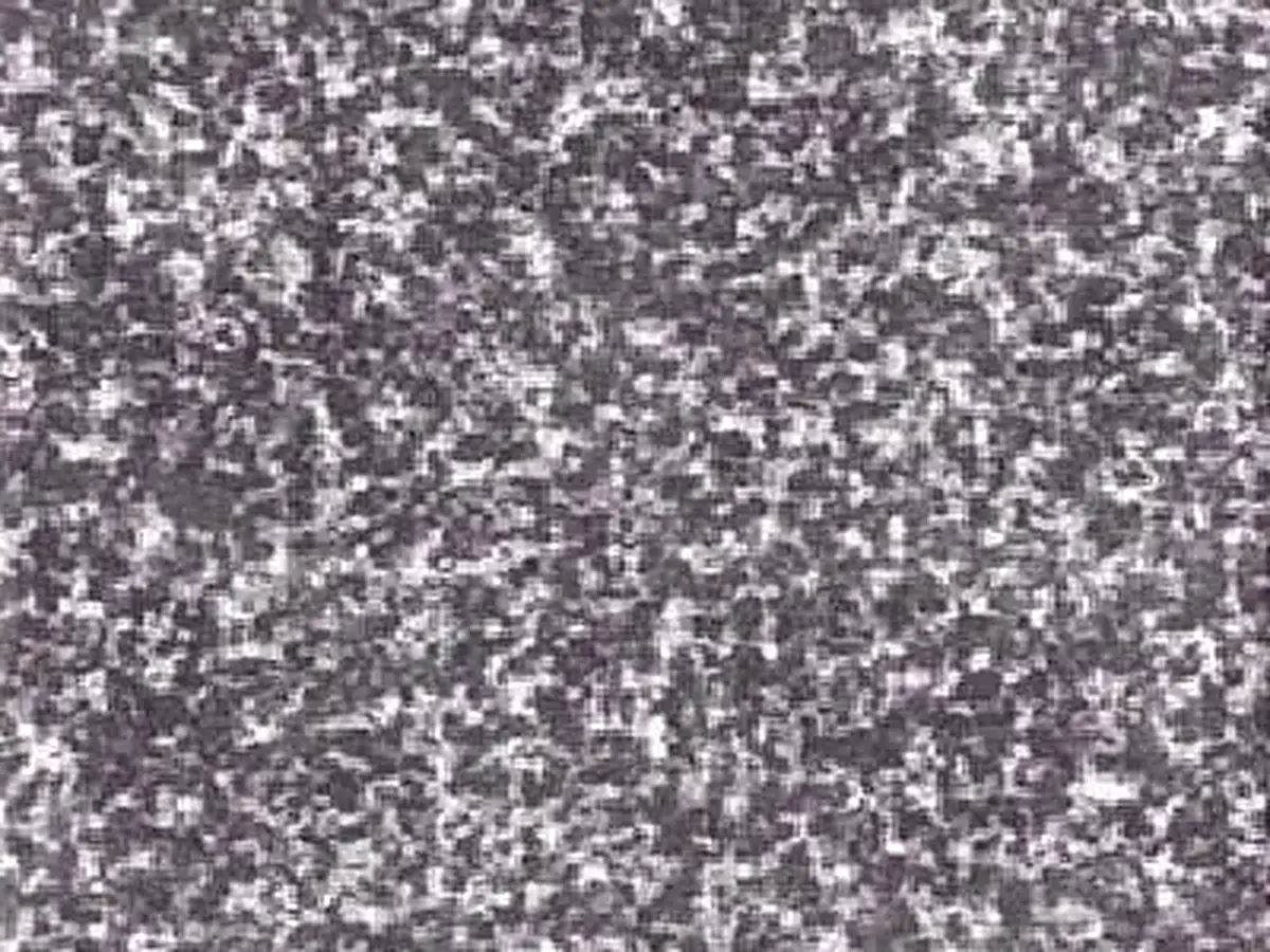 Tiger Black Granit, polierte Probe – Marmi di Carrara – grau, hellgrau (1)