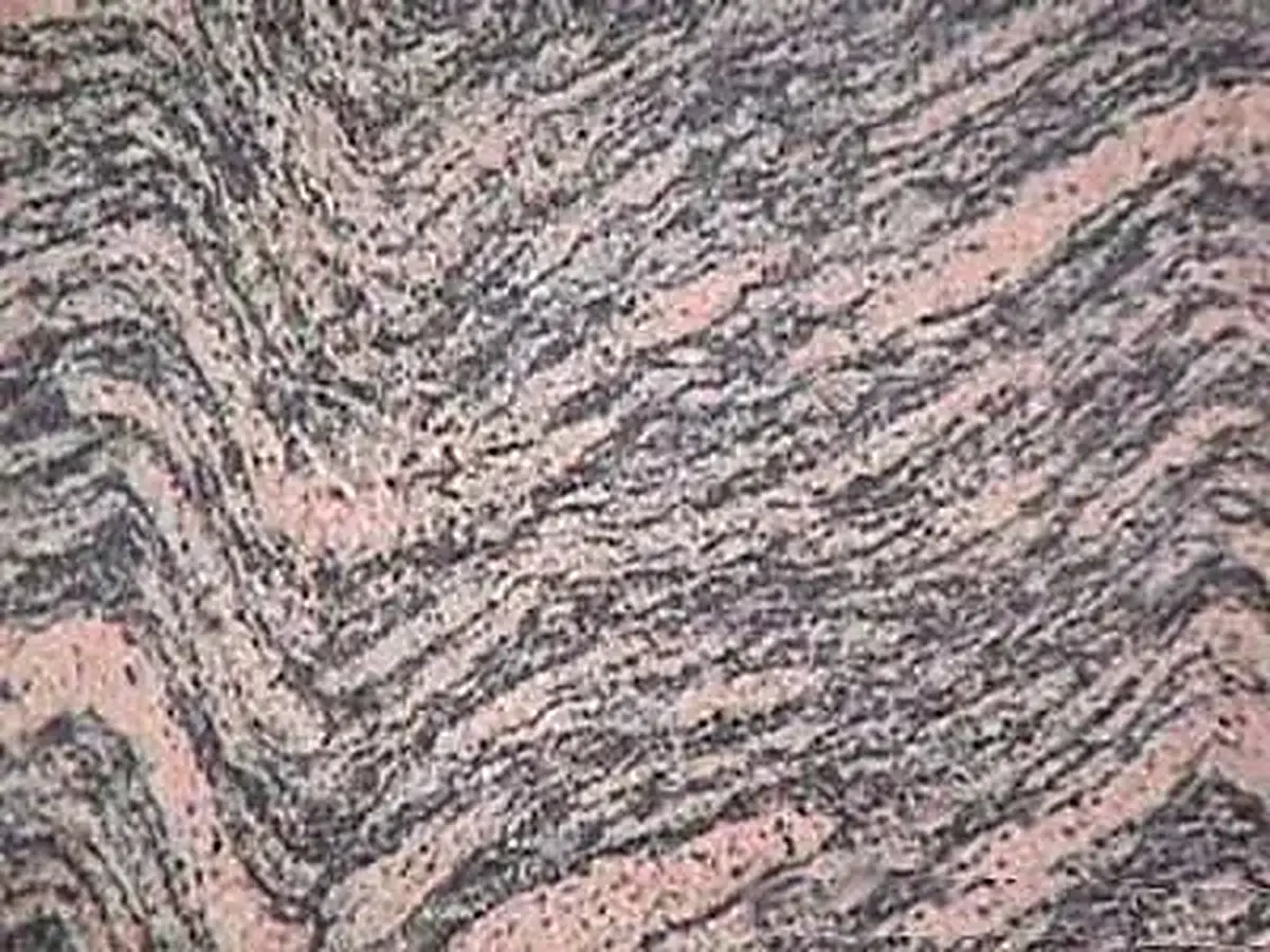 Tiger Skin granite polished sample – Marmi di Carrara – grey, violet (1)