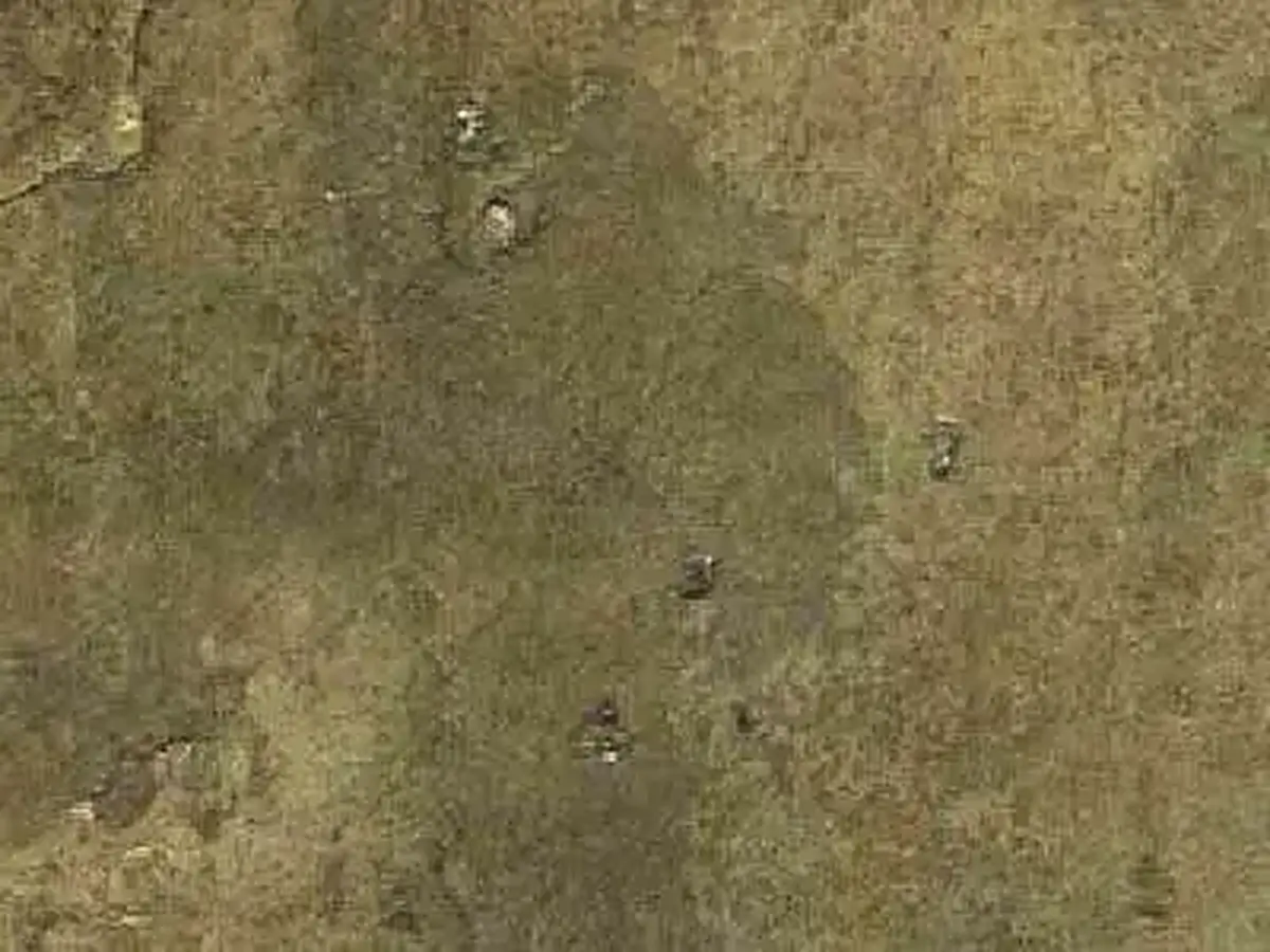 Tony Brown pizarra, muestra pulida – Marmi di Carrara – marrón, verde (1)