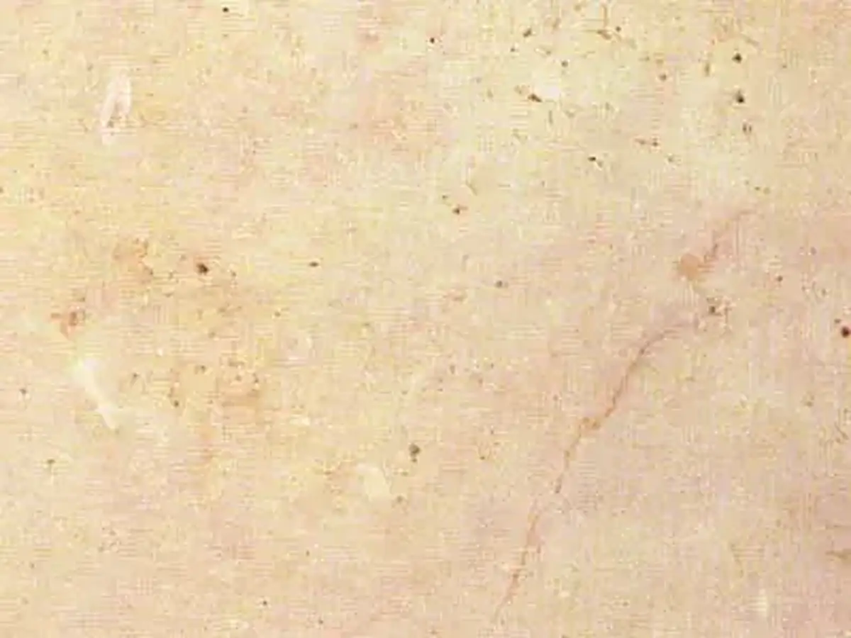 Trani Chiaro calcaire, échantillon poli – Marmi di Carrara – ivoire, beige (1)
