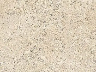 Travertin Tepexi travertin, échantillon poli – Marmi di Carrara – ivoire, gris clair (1)