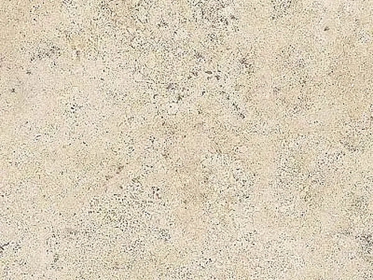 Travertin Tepexi travertin, échantillon poli – Marmi di Carrara – ivoire, gris clair (1)