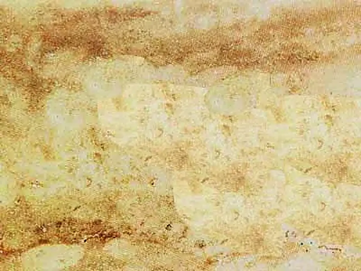 Travertino Iberico травертин, полированный образец – Marmi di Carrara – бежевый, золотистый (1)