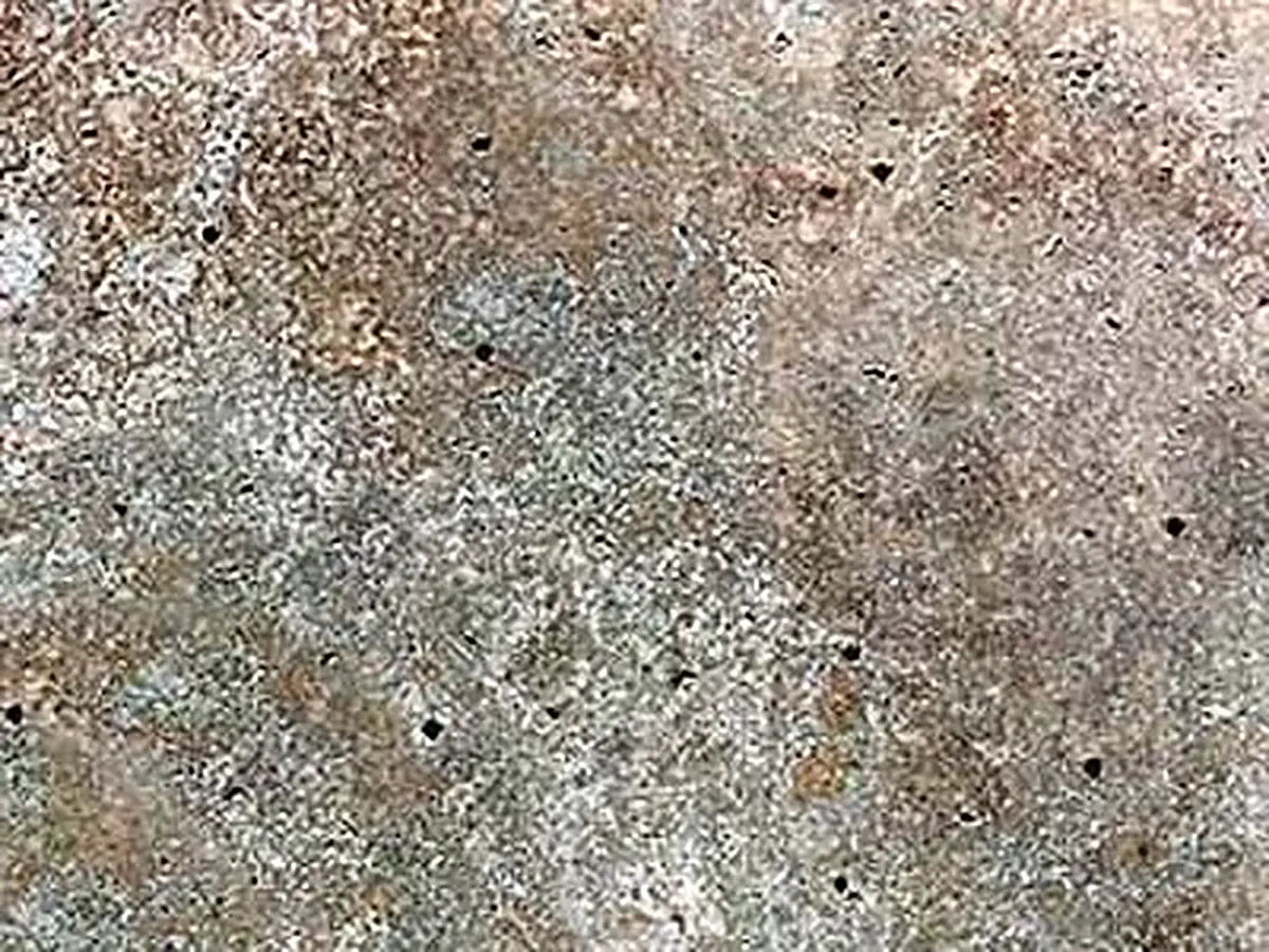 Travertino Olivo travertin, échantillon poli – Marmi di Carrara – gris, beige (1)