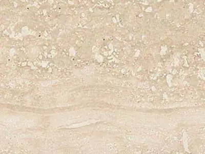 Travertino Romano travertine
