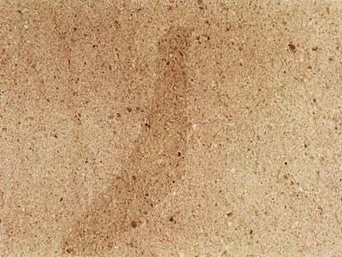 Trebgast песчаник, полированный образец – Marmi di Carrara – бежевый, золотистый (1)