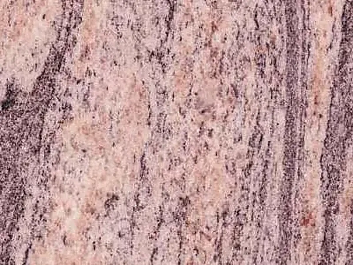 Tropical Bahia granit, échantillon poli – Marmi di Carrara – rose, gris (1)