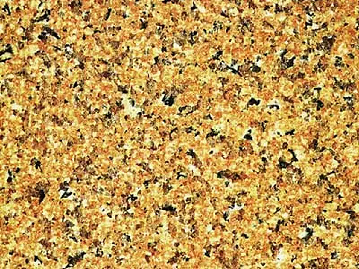Tropical Sun granit, échantillon poli – Marmi di Carrara – doré, beige (1)