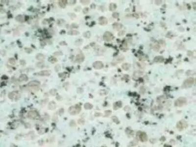 Tyn Shan Blue G 6501 granite