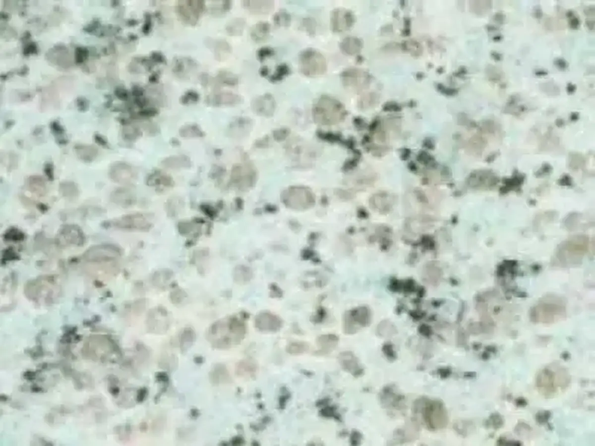 Tyn Shan Blue G 6501 granite polished sample – Marmi di Carrara – ivory, light grey (1)