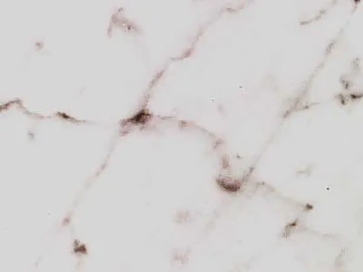 Uliano Venato мрамор, полированный образец – Marmi di Carrara – слоновая кость, светло-серый (1)