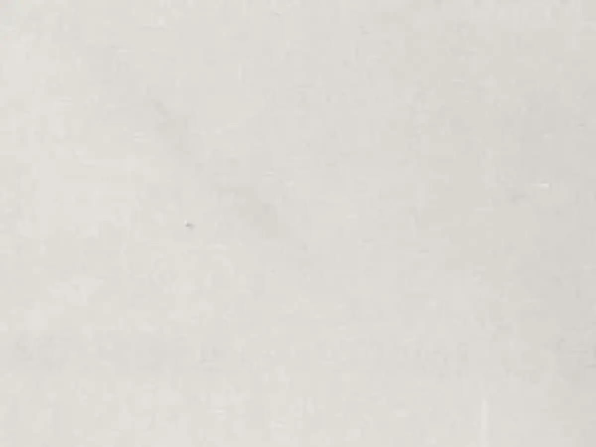 Usak Beyaz marble polished sample – Marmi di Carrara – ivory (1)