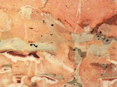 Valderice Rosa limestone