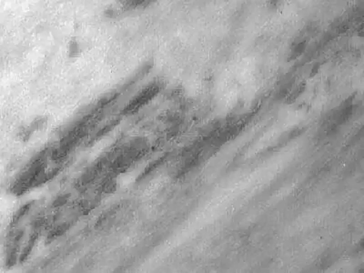 Vathilakos Semi White marbre, échantillon poli – Marmi di Carrara – gris, gris clair (1)