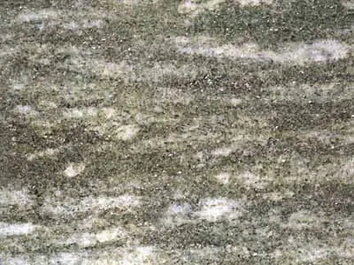 Verde Argento granit, échantillon poli – Marmi di Carrara – gris, vert (1)
