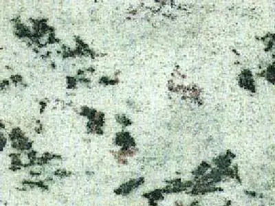 Verde Eucalipto granito, campione lucido – Marmi di Carrara – avorio, grigio chiaro (1)
