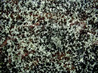 Verde Fantastico marbre, échantillon poli – Marmi di Carrara – anthracite, vert (2)