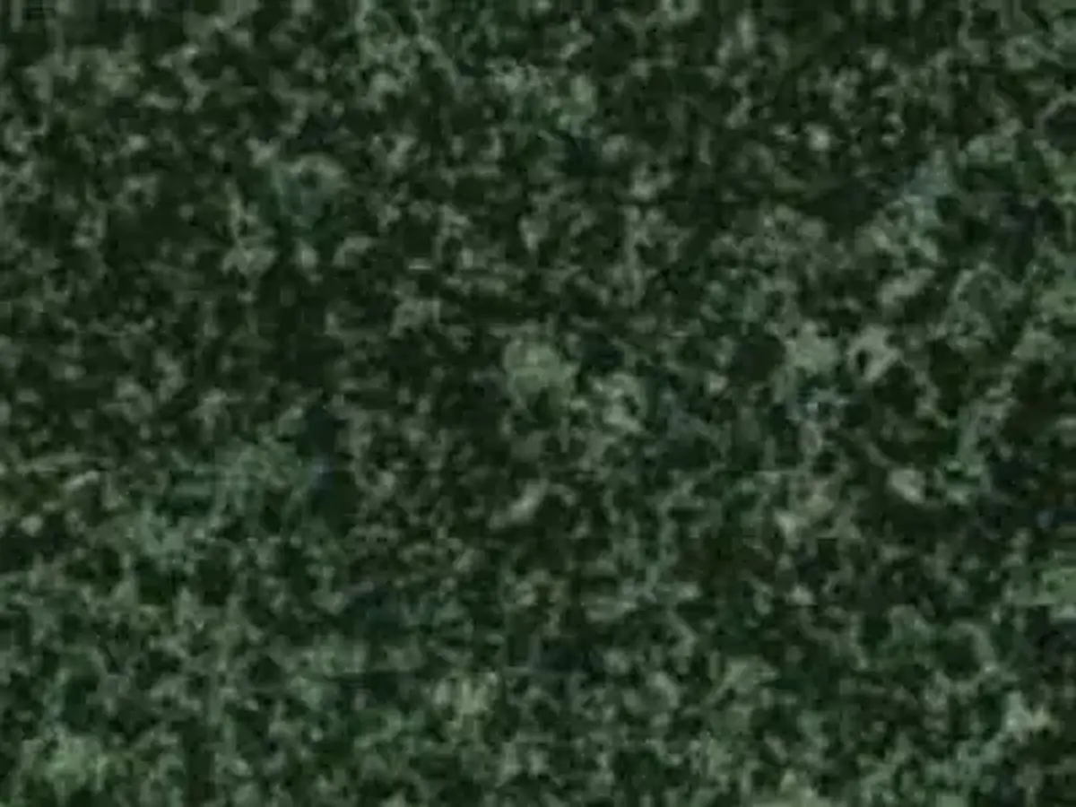 Verde Fountain G 4101 b granito, campione lucido – Marmi di Carrara – nero, antracite (1)