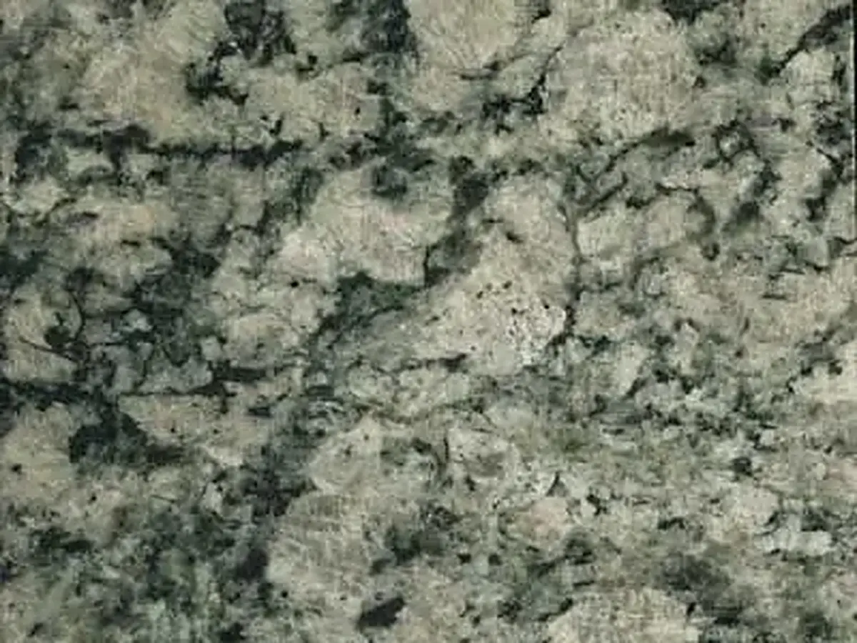 Verde gala granito, campione lucido – Marmi di Carrara – grigio, verde (1)
